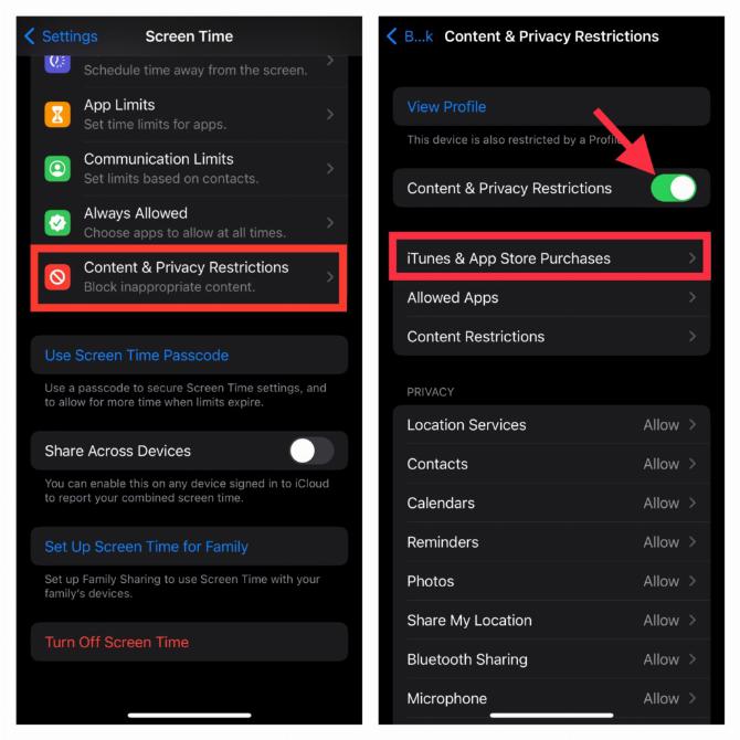 Выберите покупки в iTunes и App Store